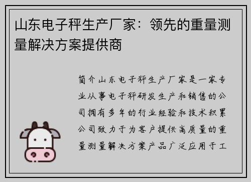 山东电子秤生产厂家：领先的重量测量解决方案提供商